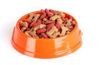 Top ten dog foods